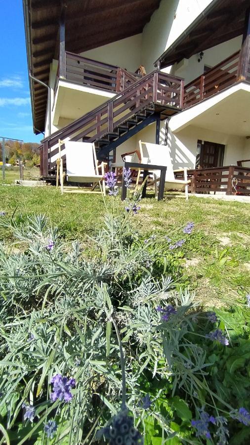 Apartman Draskovic - Goc Exterior photo